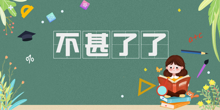 不甚了了