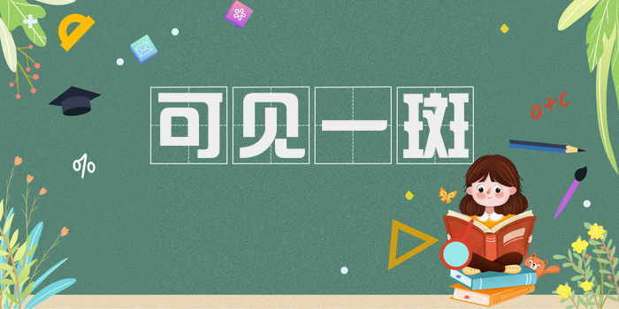 可见一斑
