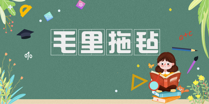 毛里拖毡