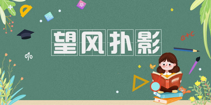 望风扑影