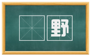騃野