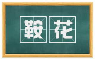 鞍花