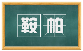鞍帕