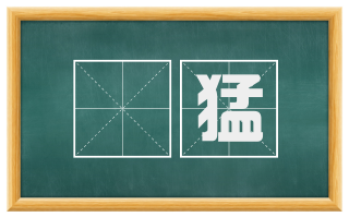 慠猛