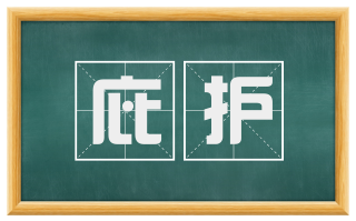 庇护