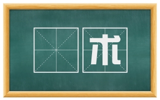 诐术