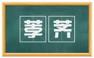 荸荠