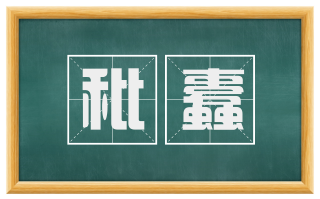 秕蠹