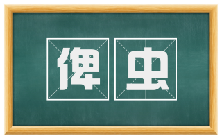 俾虫