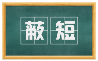 蔽短