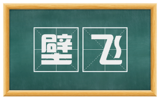 壁飞