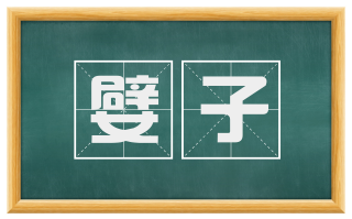 嬖子