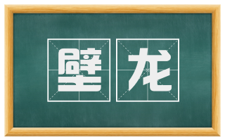 壁龙