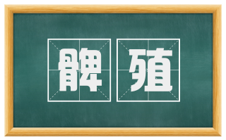髀殖