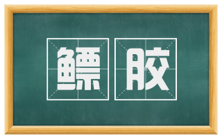 鳔胶