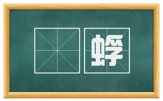 蟞蜉