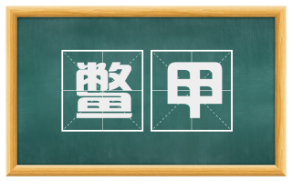 鳖甲