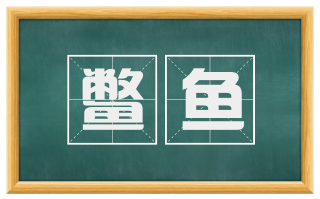 鳖鱼