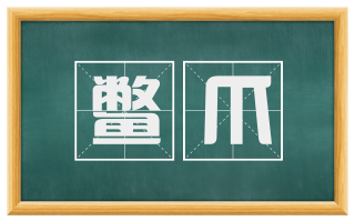 鳖爪