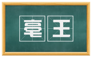 亳王