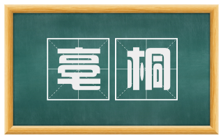 亳桐