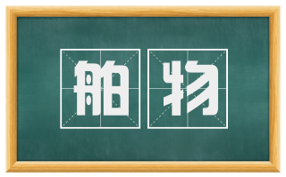 舶物