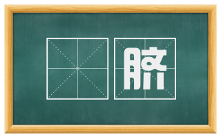 葧脐