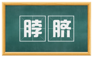 脖脐