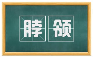 脖领
