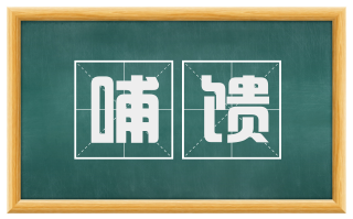 哺馈