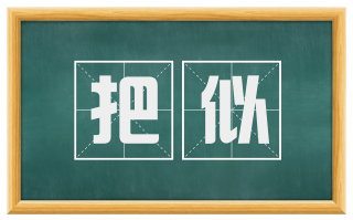 把似
