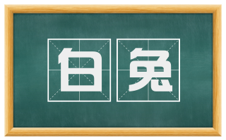 白兔