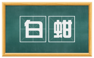 白蚶