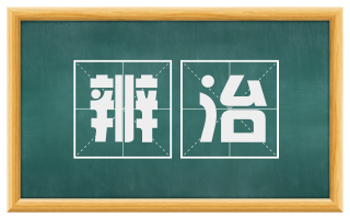 辨治