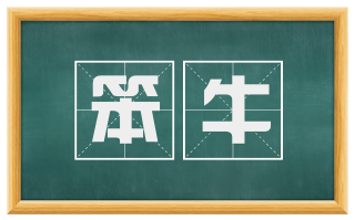 笨牛