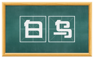 白乌