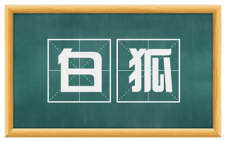 白狐