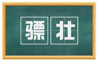 骠壮