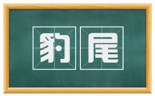 豹尾