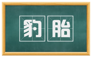 豹胎