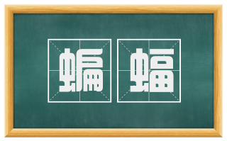 蝙蝠
