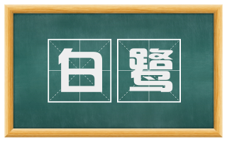 白鹭