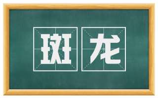 斑龙