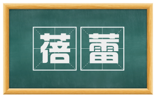 蓓蕾