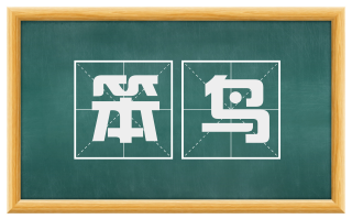 笨鸟