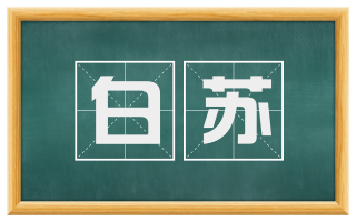 白苏