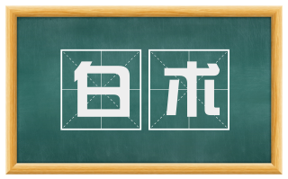 白术
