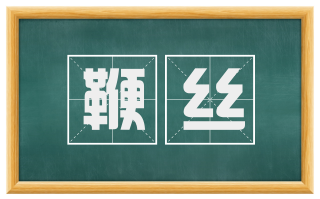 鞭丝