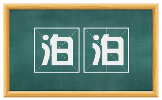 泊泊