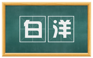 白洋